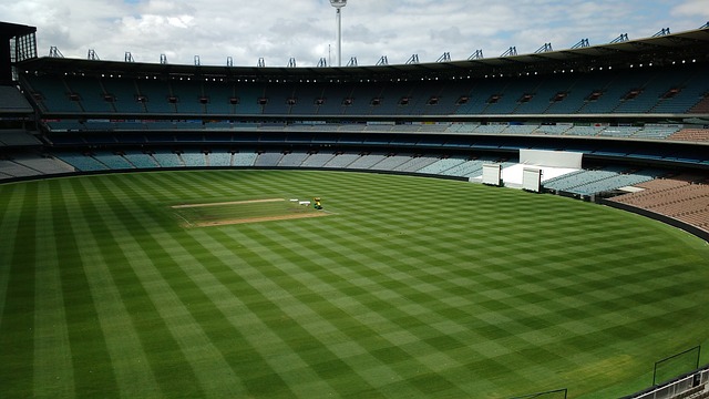 小角色也能 小角色也能