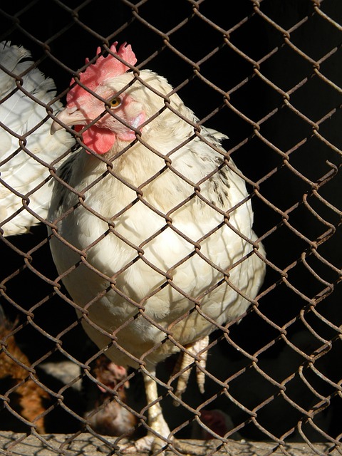 長期合作關 長期合作關