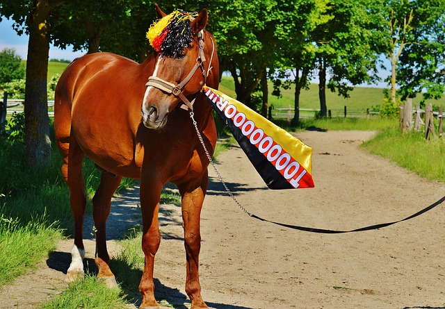 一张极具潜 一张极具潜