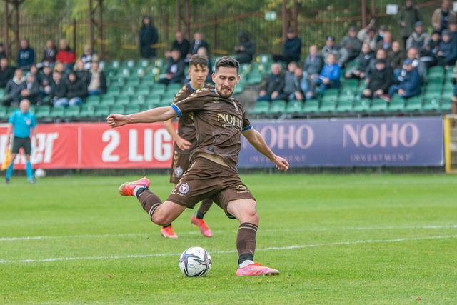 都能提供巨 都能提供巨