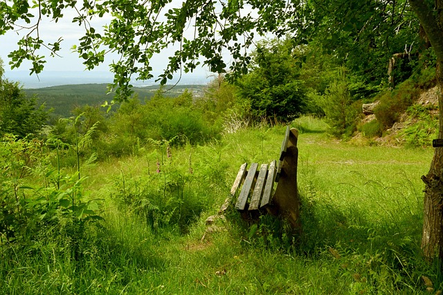 不屈斗志 不屈斗志