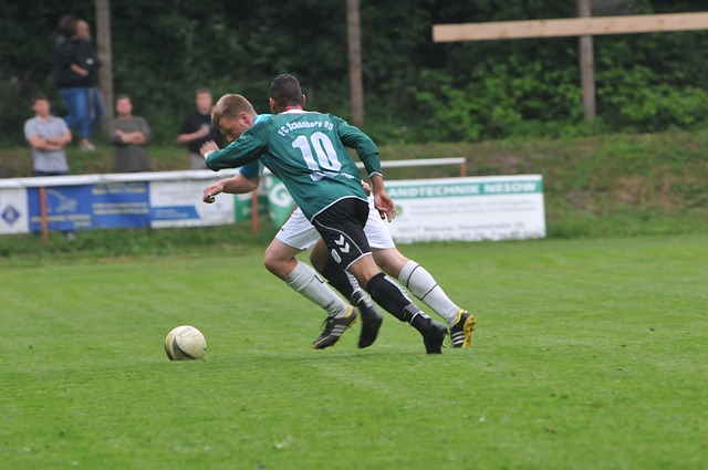 努力建立长 努力建立长